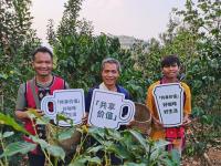 Starbucks and China Foundation for Poverty Alleviation launch coffee farming initiative